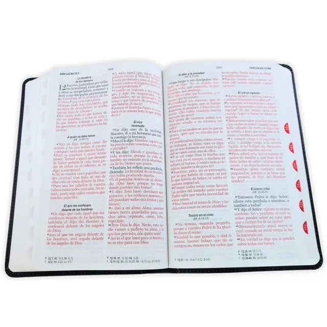 BIBLIA RVR 1960 LETRA GRANDE TAMAÑO MANUAL IMIT PIEL NEGRO LEÓN/ CRUCES