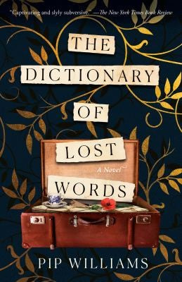 DICTIONARY OF LOST WORDS