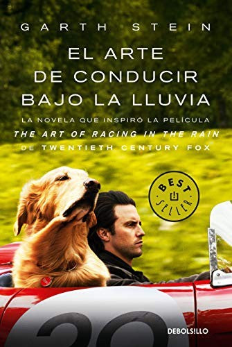EL ARTE DE CONDUCIR BAJO LA LLUVIA
