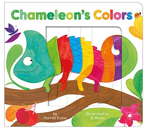 CHAMELEON'S COLORS