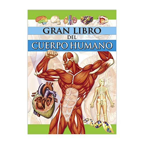 EL GRAN LIBRO DEL CUERPO HUMANO