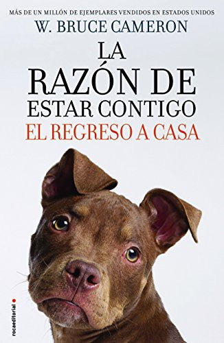 LA RAZON DE ESTAR CONTIGO 3- EL REGRESO A CASA