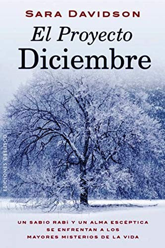 * EL PROYECTO DICIEMBRE